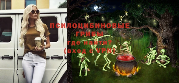 ГАЛЛЮЦИНОГЕННЫЕ ГРИБЫ Каменск-Шахтинский