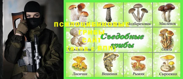 ГАЛЛЮЦИНОГЕННЫЕ ГРИБЫ Каменск-Шахтинский