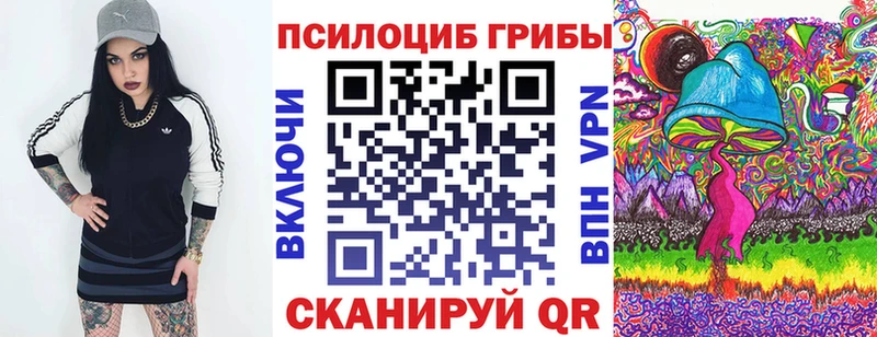 Галлюциногенные грибы мицелий  Купить закладки  Ветлуга 