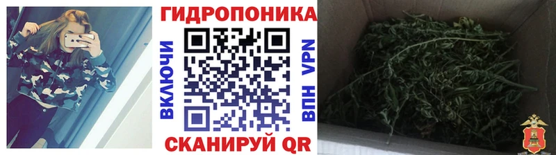Бошки Шишки марихуана  Купить где  Ветлуга 